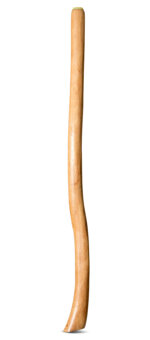 Medium Size Natural Finish Didgeridoo (TW1741)